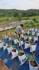 팜모닝 자유주제·자유게시판 게시글 이미지