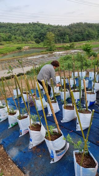 초보농부님의 자유주제 · 자유게시판 작성글 사진