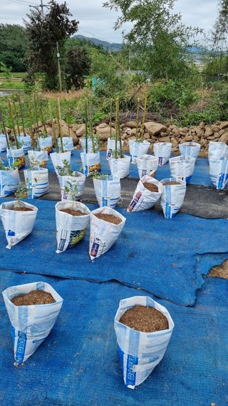 초보농부님의 자유주제 · 자유게시판 작성글 사진