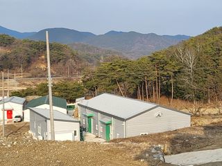 참송이20635님의 버섯 · 수확 작성글 사진