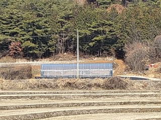 참송이20635님의 버섯 · 수확 작성글 사진