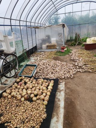 알 수 없음님의 금쪽같은 내 작물 자랑하기 · 참여 작성글 사진