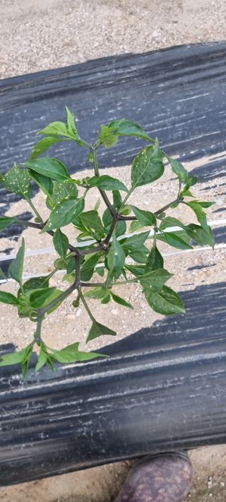 땅콩님의 자유주제 · 자유게시판 작성글 사진