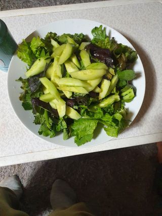 김인선님의 금쪽같은 내 작물 자랑하기 · 참여 작성글 사진