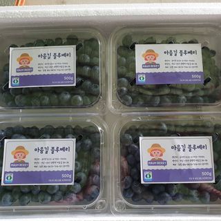 마음길베리님의 작성글 사진