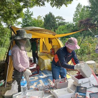 도천촌놈님의 딸기 · 시세•판로 작성글 사진