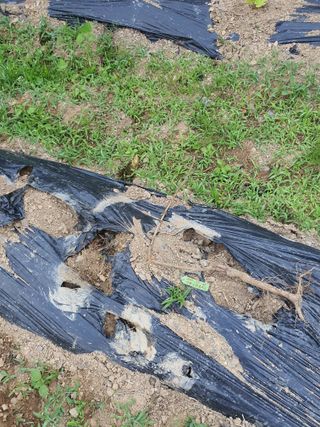 행복하게~님의 기타작물 · 자유게시판 작성글 사진