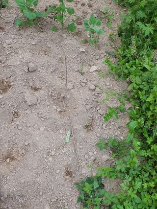 행복하게~님의 기타작물 · 자유게시판 작성글 사진