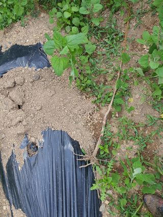 행복하게~님의 기타작물 · 자유게시판 작성글 사진