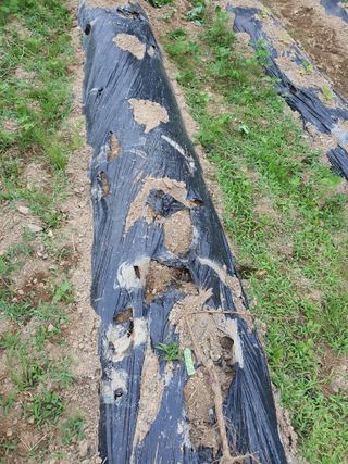 행복하게~님의 기타작물 · 자유게시판 작성글 사진