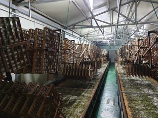 홍박농원님의 자유주제 · 자유게시판 작성글 사진