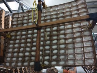 홍박농원님의 자유주제 · 자유게시판 작성글 사진