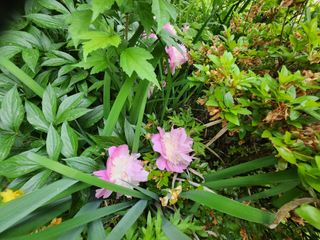 손정아님의 자유주제 · 자유게시판 작성글 사진