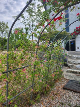 손정아님의 자유주제 · 자유게시판 작성글 사진