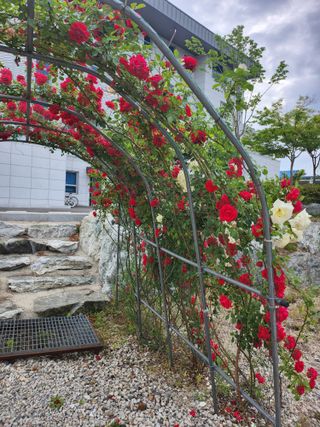 손정아님의 자유주제 · 자유게시판 작성글 사진