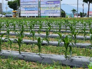 손정아님의 자유주제 · 자유게시판 작성글 사진