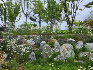 손정아님의 자유주제 · 자유게시판 작성글 사진