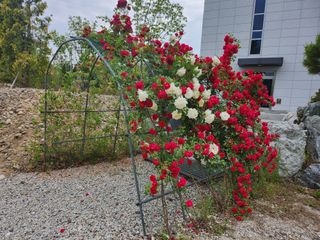 손정아님의 자유주제 · 자유게시판 작성글 사진