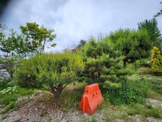 손정아님의 자유주제 · 자유게시판 작성글 사진