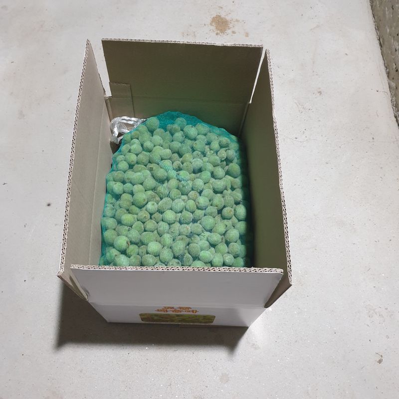 장터 상품 [개(돌)복숭아 10kg] 썸네일