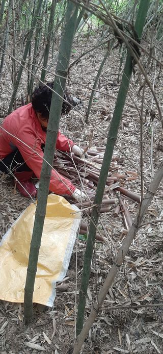 이강재님의 기타작물 · 자유게시판 작성글 사진