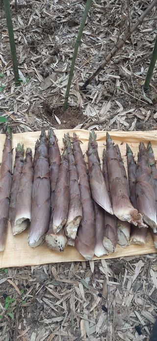 이강재님의 기타작물 · 자유게시판 작성글 사진