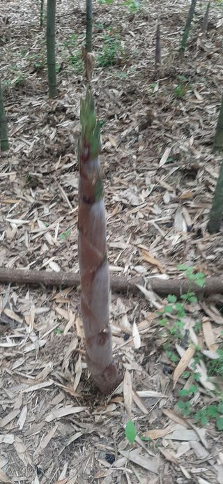 이강재님의 기타작물 · 자유게시판 작성글 사진