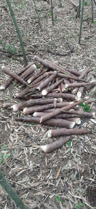 이강재님의 기타작물 · 자유게시판 작성글 사진