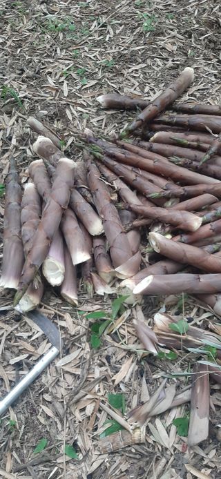 이강재님의 기타작물 · 자유게시판 작성글 사진