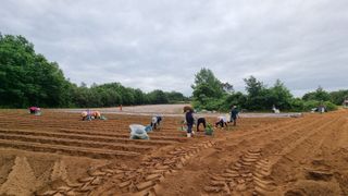 김동수님의 고구마 · 자유게시판 작성글 사진