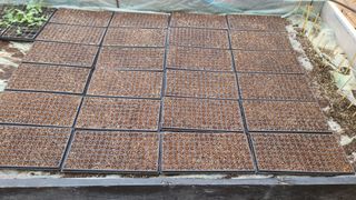 양태문님의 참깨 · 자유게시판 작성글 사진