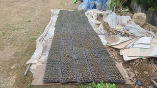 양태문님의 기타작물 · 자유게시판 작성글 사진