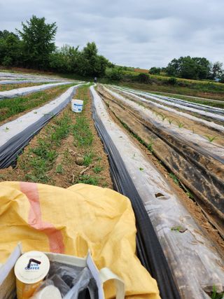 권지연.옥천.님의 자유주제 · 자유게시판 작성글 사진