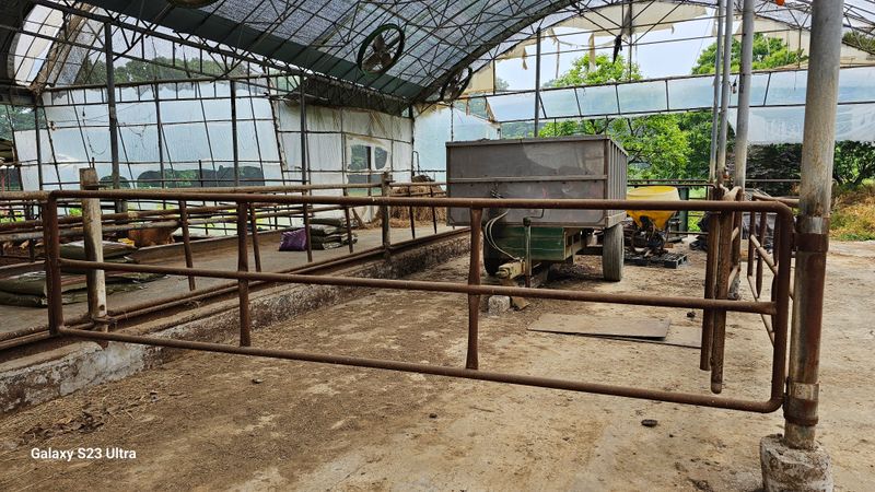 장터 상품 [한우 비육축사 ] 썸네일