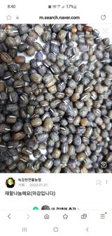 팜모닝 자유주제·자유게시판 게시글 이미지