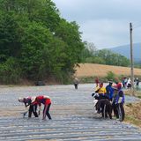 팜모닝 자유주제·사진전 게시글 이미지