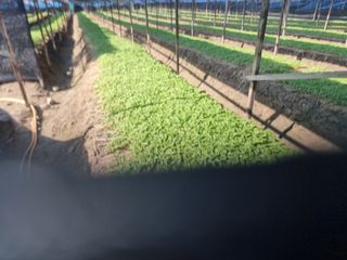 심상진님의 기타작물 · 자유게시판 작성글 사진