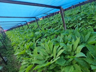 심상진님의 기타작물 · 자유게시판 작성글 사진