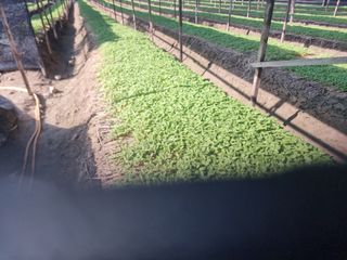 심상진님의 기타작물 · 자유게시판 작성글 사진