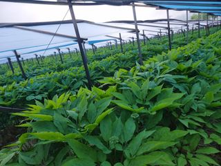 심상진님의 기타작물 · 자유게시판 작성글 사진