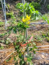 팜모닝 자유주제·사진전 게시글 이미지