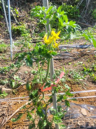 주현님의 자유주제 · 사진전 작성글 사진
