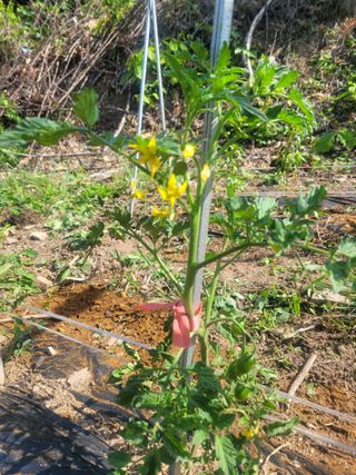 주현님의 자유주제 · 사진전 작성글 사진
