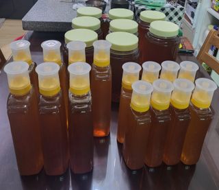 허니허니님의 금쪽같은 내 작물 자랑하기 · 참여 작성글 사진