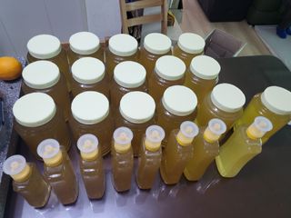 허니허니님의 금쪽같은 내 작물 자랑하기 · 참여 작성글 사진