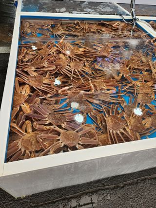 알 수 없음님의 자유주제 · 자유게시판 작성글 사진