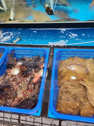 알 수 없음님의 자유주제 · 자유게시판 작성글 사진