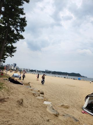 알 수 없음님의 자유주제 · 자유게시판 작성글 사진