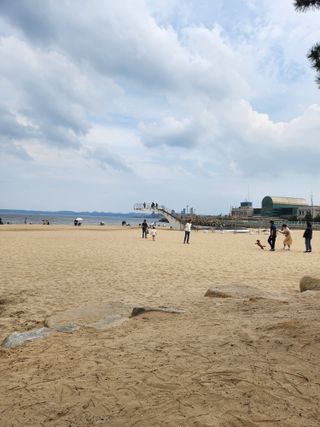 알 수 없음님의 자유주제 · 자유게시판 작성글 사진