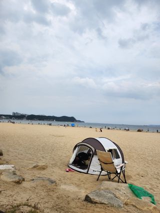 알 수 없음님의 자유주제 · 자유게시판 작성글 사진